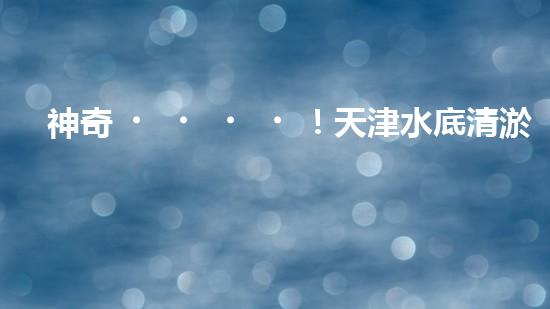 神奇！天津水底清淤固化設(shè)備：解開海底秘密！